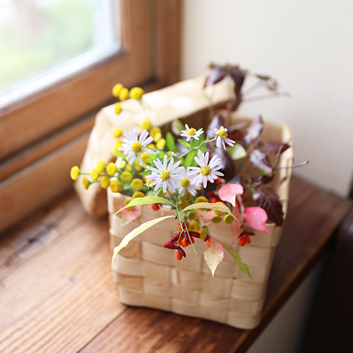 【まいにちと花】<br> 霜月11月 「小春日和」