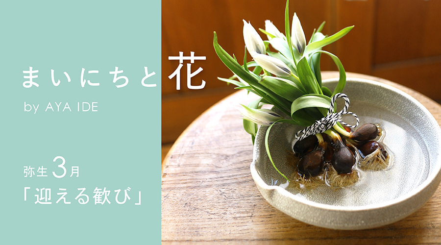 私の部屋 | 私の部屋