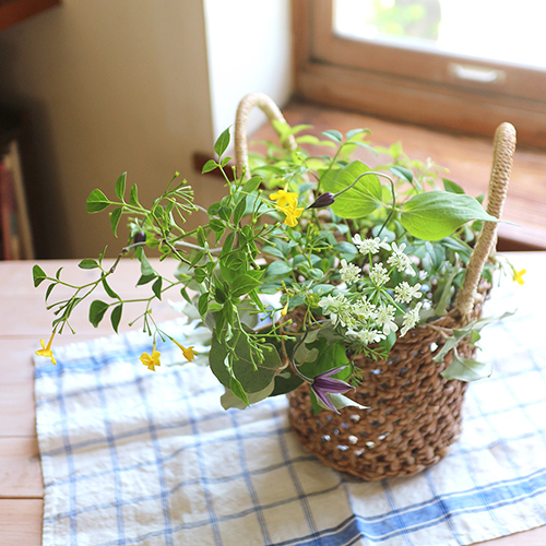 【まいにちと花】<br> 水無月6月 「雨の季節に」