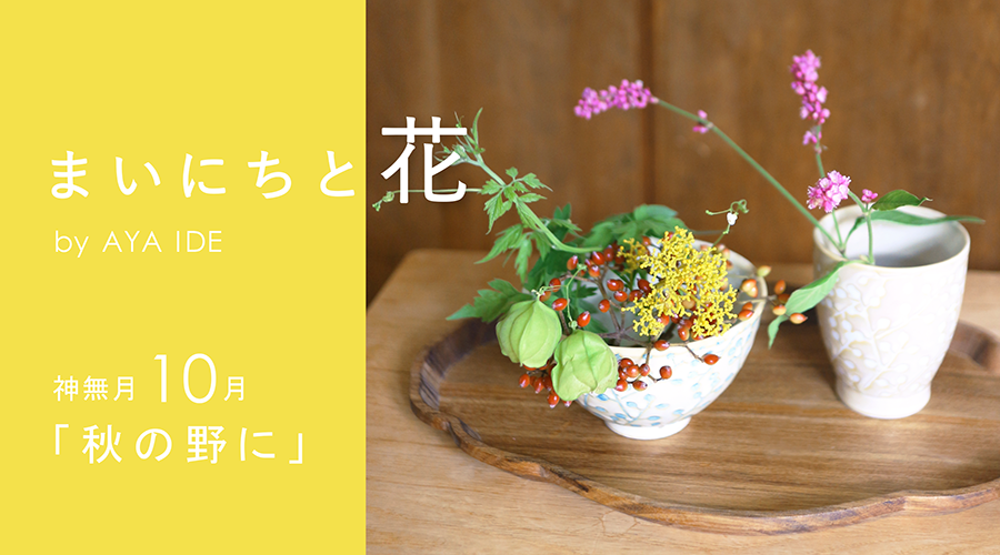 ☆amitie☆ フレンチお袖チュニック レースのお花つき レディース
