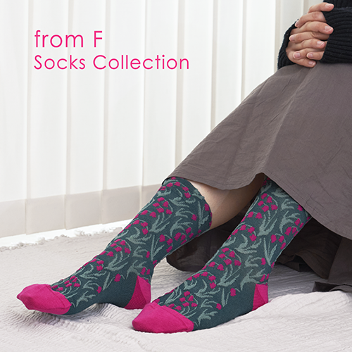 9/13(土)～なくなり次第終了<br>くつしたいろいろ －from F Socks Collection－